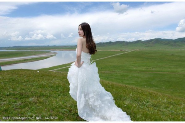 武汉赏花品茗，一盒茶香多少金？